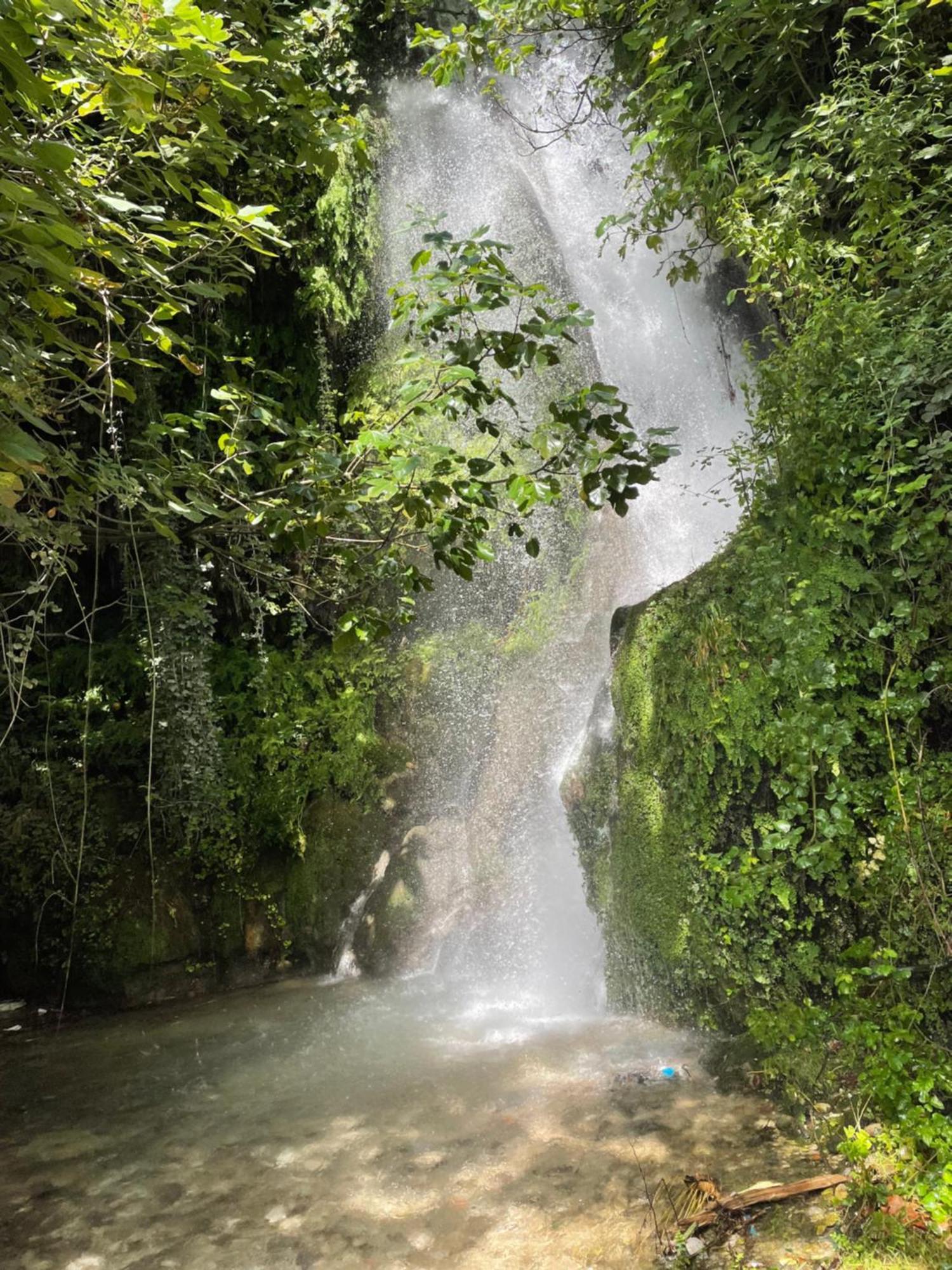 Vila Florika Hotel Borş Dış mekan fotoğraf