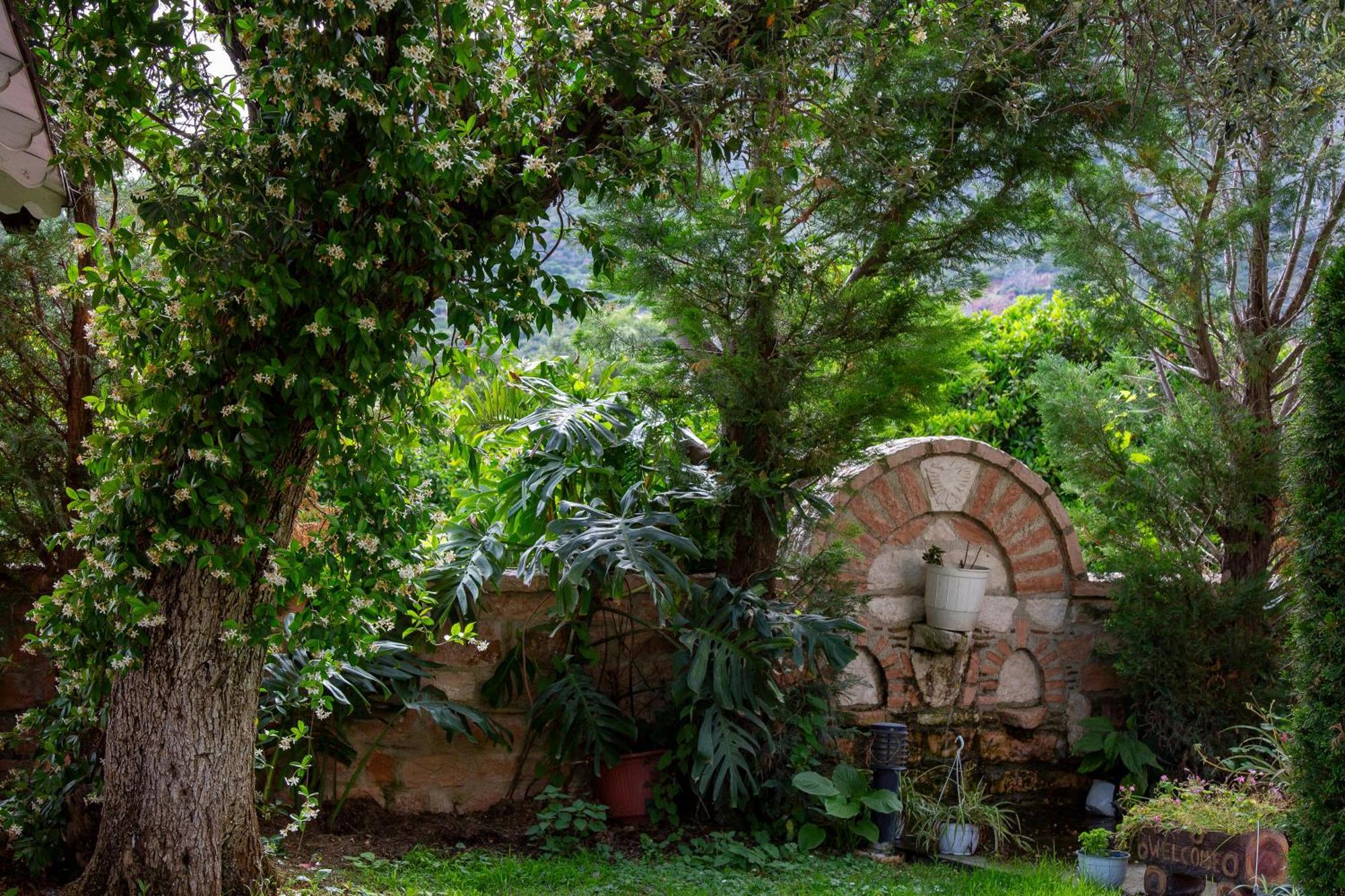 Vila Florika Hotel Borş Dış mekan fotoğraf