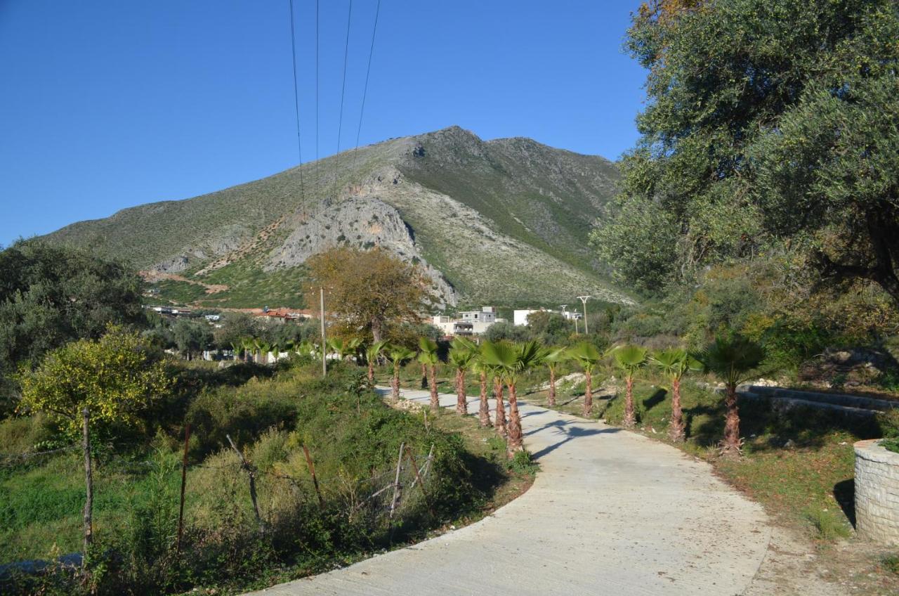Vila Florika Hotel Borş Dış mekan fotoğraf